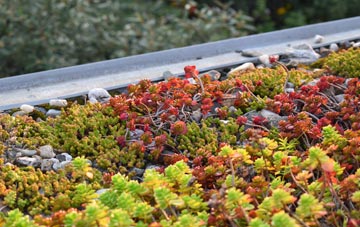 the cost of Mucklestone green roof installation